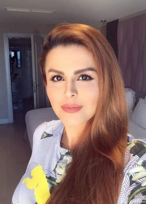 آهنگ های شاخ اینستاگرام چگونه پشتیبانی می شوند؟