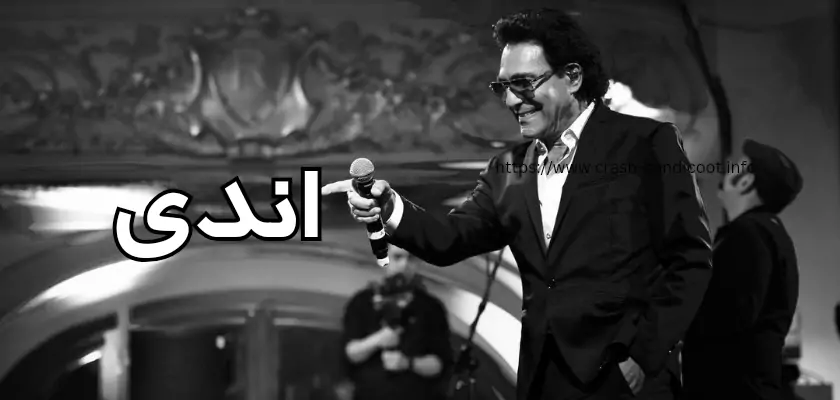 بیوگرافی اندی خواننده و همسرش + اطلاعاتی در مورد ثروت و فرزندان او