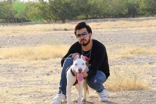 سپهر صالحی کیست؟