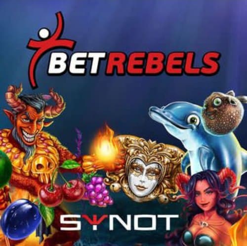 سیستم برداشت سود در این سایت چگونه است؟