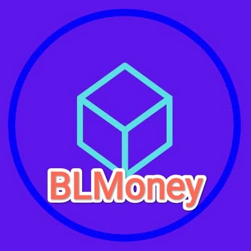 ورود به سایت بی ال مانی (BLMoney) با لینک جدید و بدون فیلتر