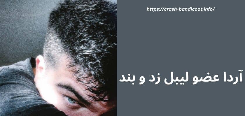 بیوگرافی آردا عضو لیبل زد و بند + حواشی او