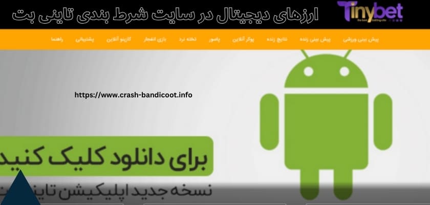 استفاده از ارزهای دیجیتال در سایت شرط بندی تاینی بت