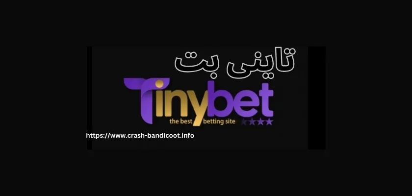 معرفی بازی انفجار تاینی بت (Tinybet) و نحوه احراز هویت و شارژ حساب