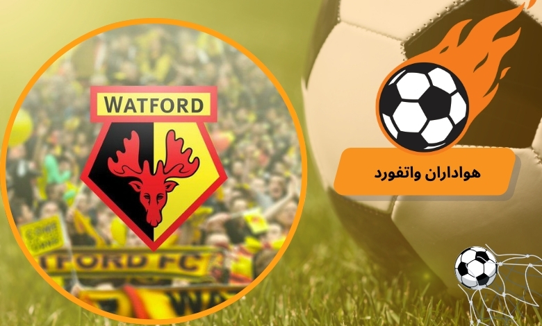 هواداران واتفورد Golden Boys
